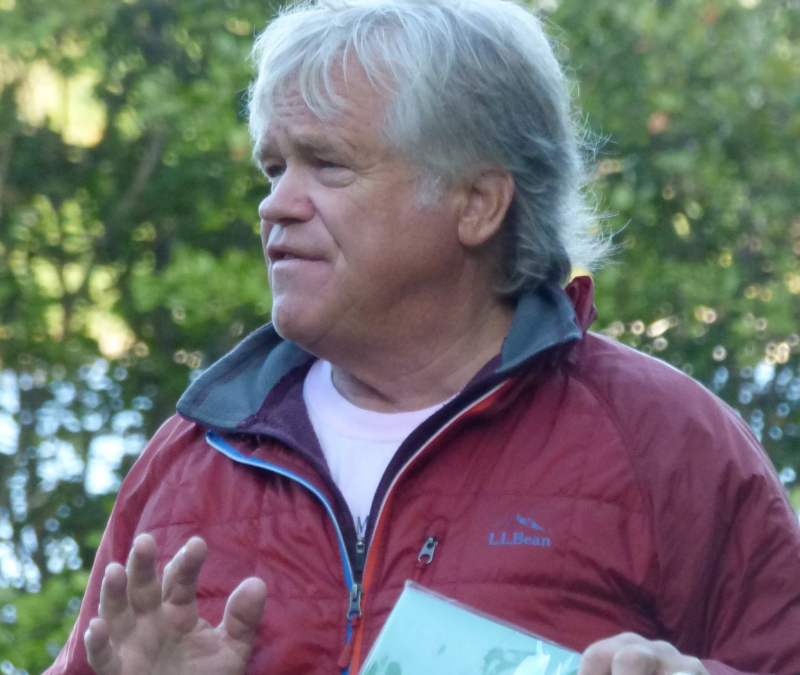 Bob Perkins